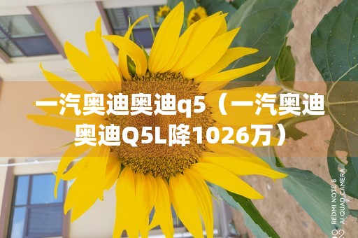 一汽奥迪奥迪q5（一汽奥迪奥迪Q5L降1026万）