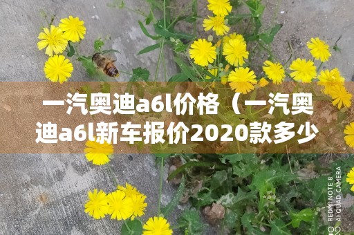 一汽奥迪a6l价格（一汽奥迪a6l新车报价2020款多少钱）