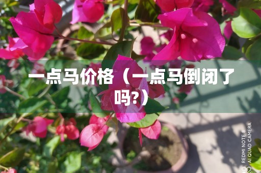 一点马价格（一点马倒闭了吗?）