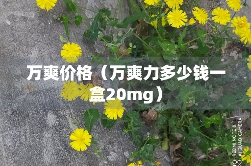 万爽价格（万爽力多少钱一盒20mg）