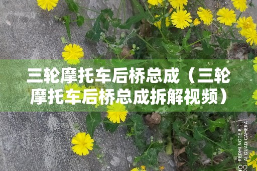 三轮摩托车后桥总成（三轮摩托车后桥总成拆解视频）