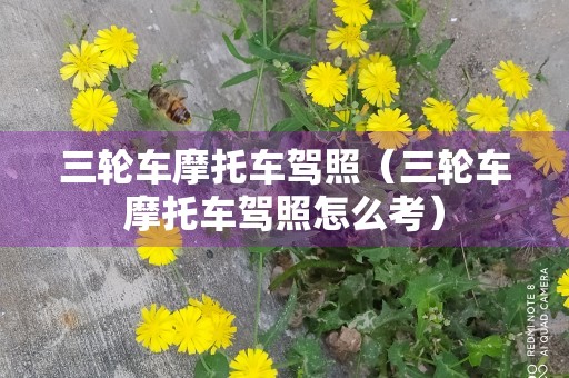 三轮车摩托车驾照（三轮车摩托车驾照怎么考）