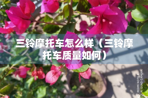 三铃摩托车怎么样（三铃摩托车质量如何）