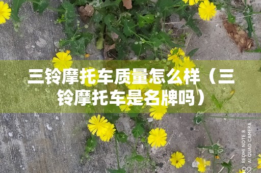 三铃摩托车质量怎么样（三铃摩托车是名牌吗）