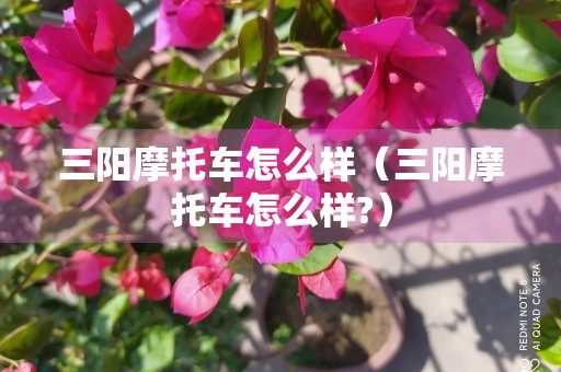 三阳摩托车怎么样（三阳摩托车怎么样?）