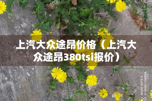 上汽大众途昂价格（上汽大众途昂380tsi报价）