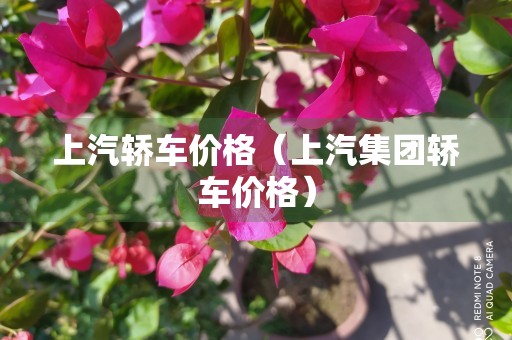 上汽轿车价格（上汽集团轿车价格）