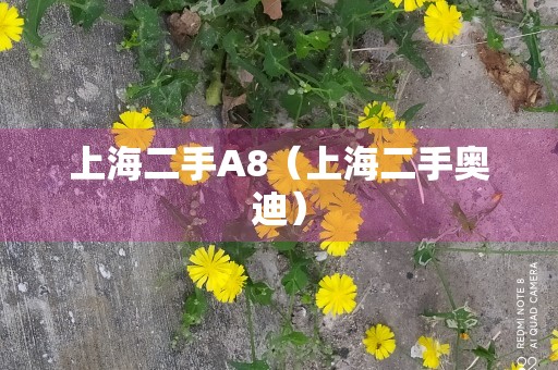 上海二手A8（上海二手奥迪）