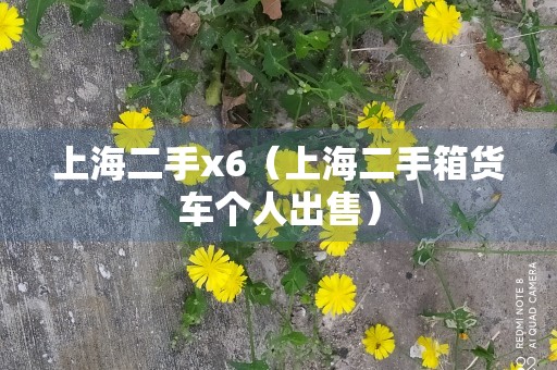 上海二手x6（上海二手箱货车个人出售）