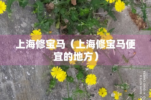 上海修宝马（上海修宝马便宜的地方）