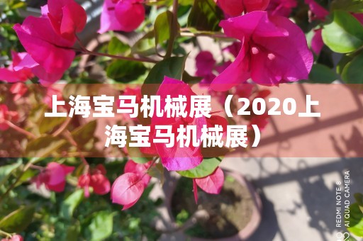 上海宝马机械展（2020上海宝马机械展）