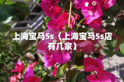 上海宝马5s（上海宝马5s店有几家）