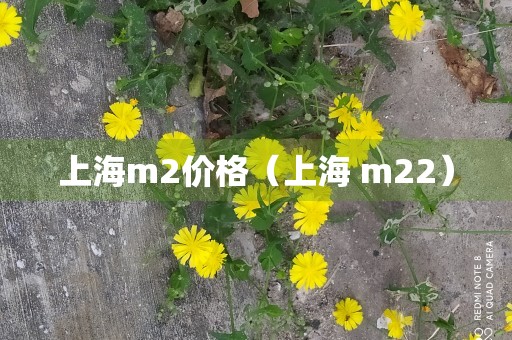 上海m2价格（上海 m22）