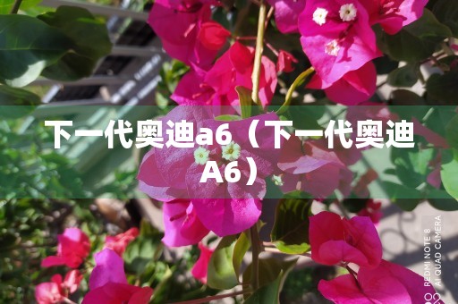 下一代奥迪a6（下一代奥迪A6）