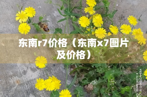 东南r7价格（东南x7图片及价格）