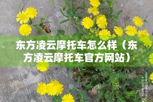 东方凌云摩托车怎么样（东方凌云摩托车官方网站）