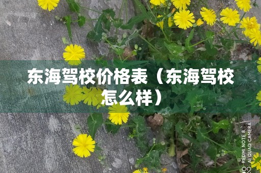 东海驾校价格表（东海驾校怎么样）