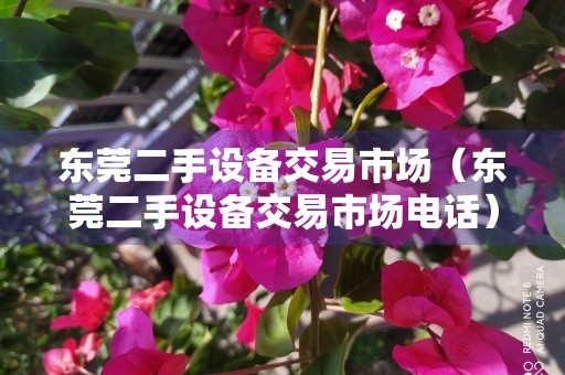 东莞二手设备交易市场（东莞二手设备交易市场电话）