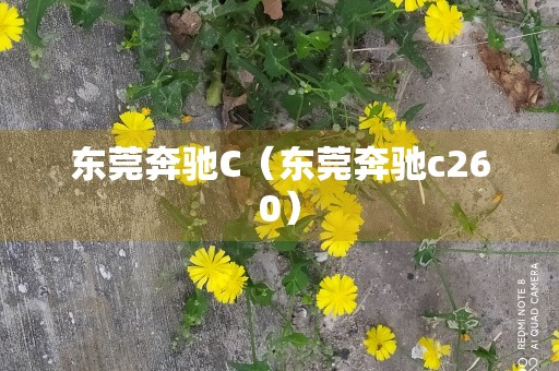 东莞奔驰C（东莞奔驰c260）