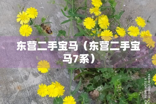 东营二手宝马（东营二手宝马7系）