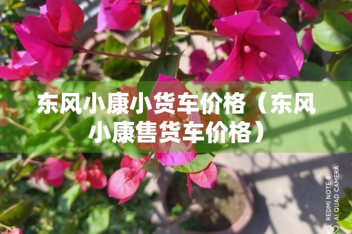 东风小康小货车价格（东风小康售货车价格）