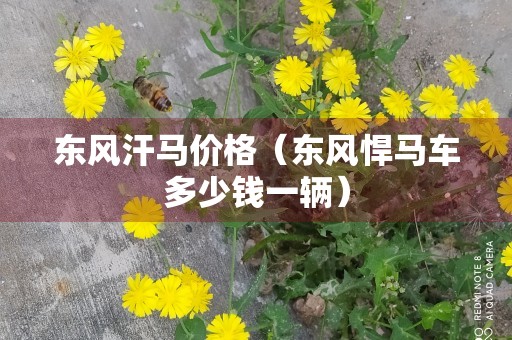 东风汗马价格（东风悍马车多少钱一辆）