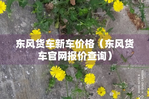 东风货车新车价格（东风货车官网报价查询）