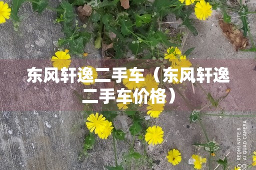 东风轩逸二手车（东风轩逸二手车价格）