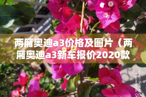 两厢奥迪a3价格及图片（两厢奥迪a3新车报价2020款）