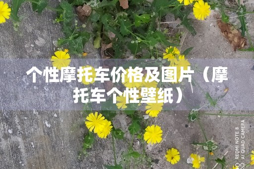 个性摩托车价格及图片（摩托车个性壁纸）