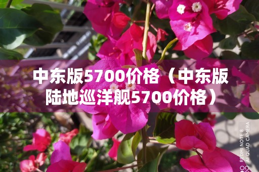 中东版5700价格（中东版陆地巡洋舰5700价格）