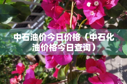 中石油价今日价格（中石化油价格今日查询）