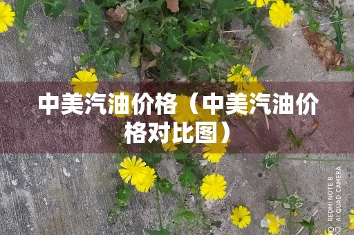 中美汽油价格（中美汽油价格对比图）