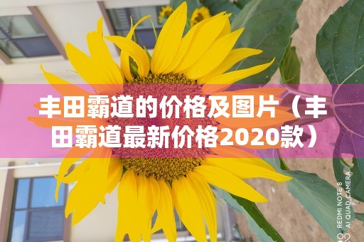 丰田霸道的价格及图片（丰田霸道最新价格2020款）