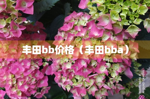 丰田bb价格（丰田bba）