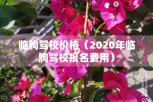 临朐驾校价格（2020年临朐驾校报名费用）