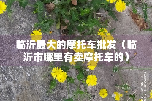 临沂最大的摩托车批发（临沂市哪里有卖摩托车的）