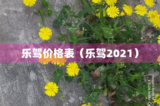 乐驾价格表（乐驾2021）