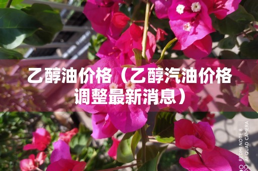 乙醇油价格（乙醇汽油价格调整最新消息）