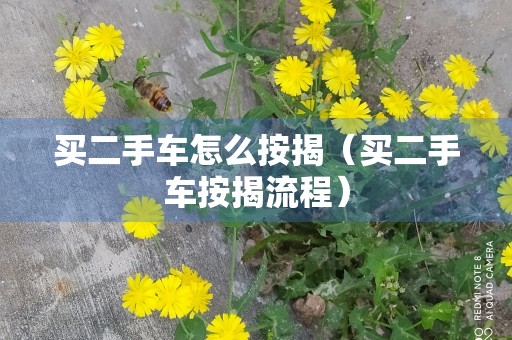 买二手车怎么按揭（买二手车按揭流程）