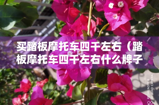 买踏板摩托车四千左右（踏板摩托车四千左右什么牌子好）