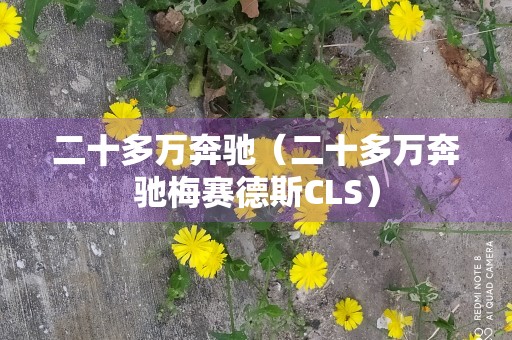 二十多万奔驰（二十多万奔驰梅赛德斯CLS）