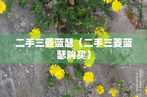 二手三菱蓝瑟（二手三菱蓝瑟购买）