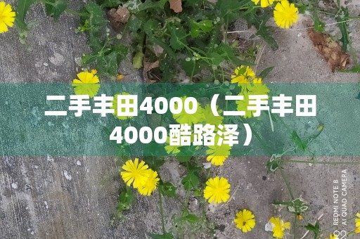 二手丰田4000（二手丰田4000酷路泽）