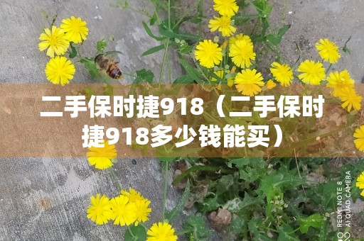 二手保时捷918（二手保时捷918多少钱能买）