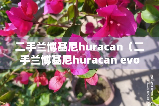 二手兰博基尼huracan（二手兰博基尼huracan evo）