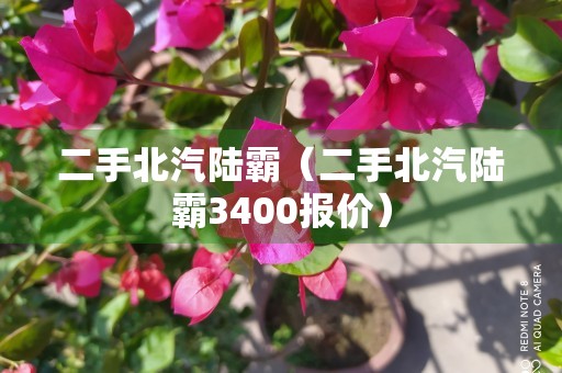 二手北汽陆霸（二手北汽陆霸3400报价）