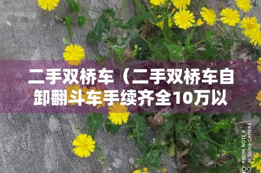 二手双桥车（二手双桥车自卸翻斗车手续齐全10万以内）