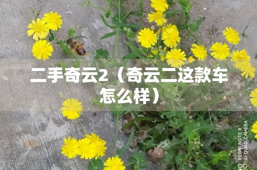 二手奇云2（奇云二这款车怎么样）