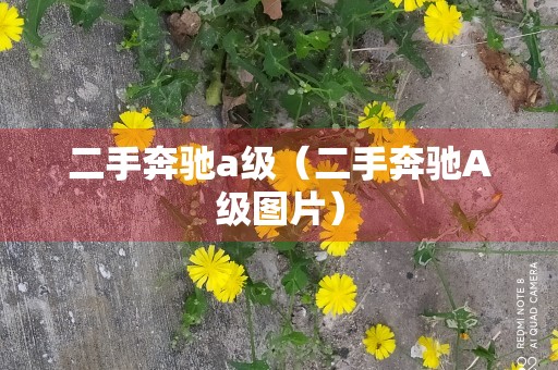 二手奔驰a级（二手奔驰A级图片）